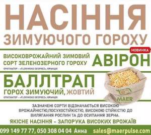 Посівний матеріал, насіння озимого гороху - оголошення