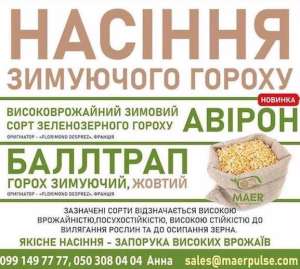 Продаж насіння озимого гороху Баллтрап, Авірон - оголошення