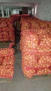 Продам цибулю власного врожаю