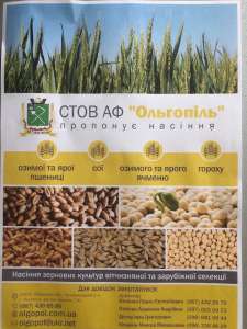 Продам якісне насіння зернових культур, Черкаси - объявление
