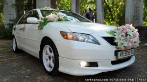 Прокат свадебного автомобиля Николаев Херсон, белая Toyota Camry Hybrid,