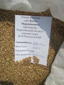 Реалізуємо елітне насіння пшениці, ячменю, тритикале від виробника