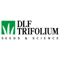 Семена газонной травы DLF Trifolium по оптовым ценам - объявление