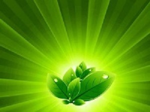 Средства для снижения веса предлагает аптека ру, это тайская, Диета меню на неделю, чтобы убрать жир - оголошення