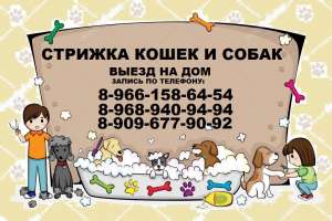 Стрижка кошек и собак.Выезд на дом,Стрижка животных выезд в любой район Москва и Московская Область