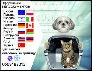 Тест на сказ Довідка собаки виїзд за кордон Офіційно ветпаспорт - оголошення