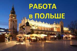 Трудоустройство в Польше. Ищем партнеров из Украины, Беларуси, Молдовы - объявление