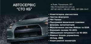 ЧИП Тюнинг, удаление катализаторов и сажевых фильтров во Львове - объявление