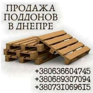 Широкий асортимент європіддонів Дніпро. - оголошення