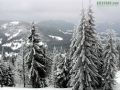закарпатье на рождество из киева, тур закарпатье рождество, закарпатье экскурсии рождество - объявление